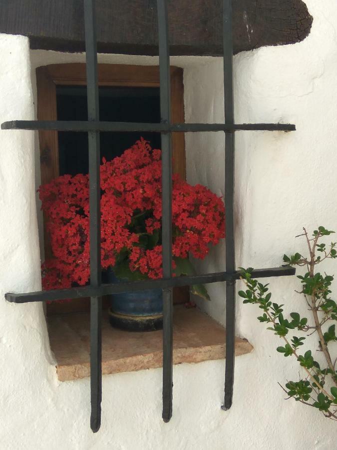 Conjunto Rural Casa Victoria Guest House Villaluenga Del Rosario Luaran gambar
